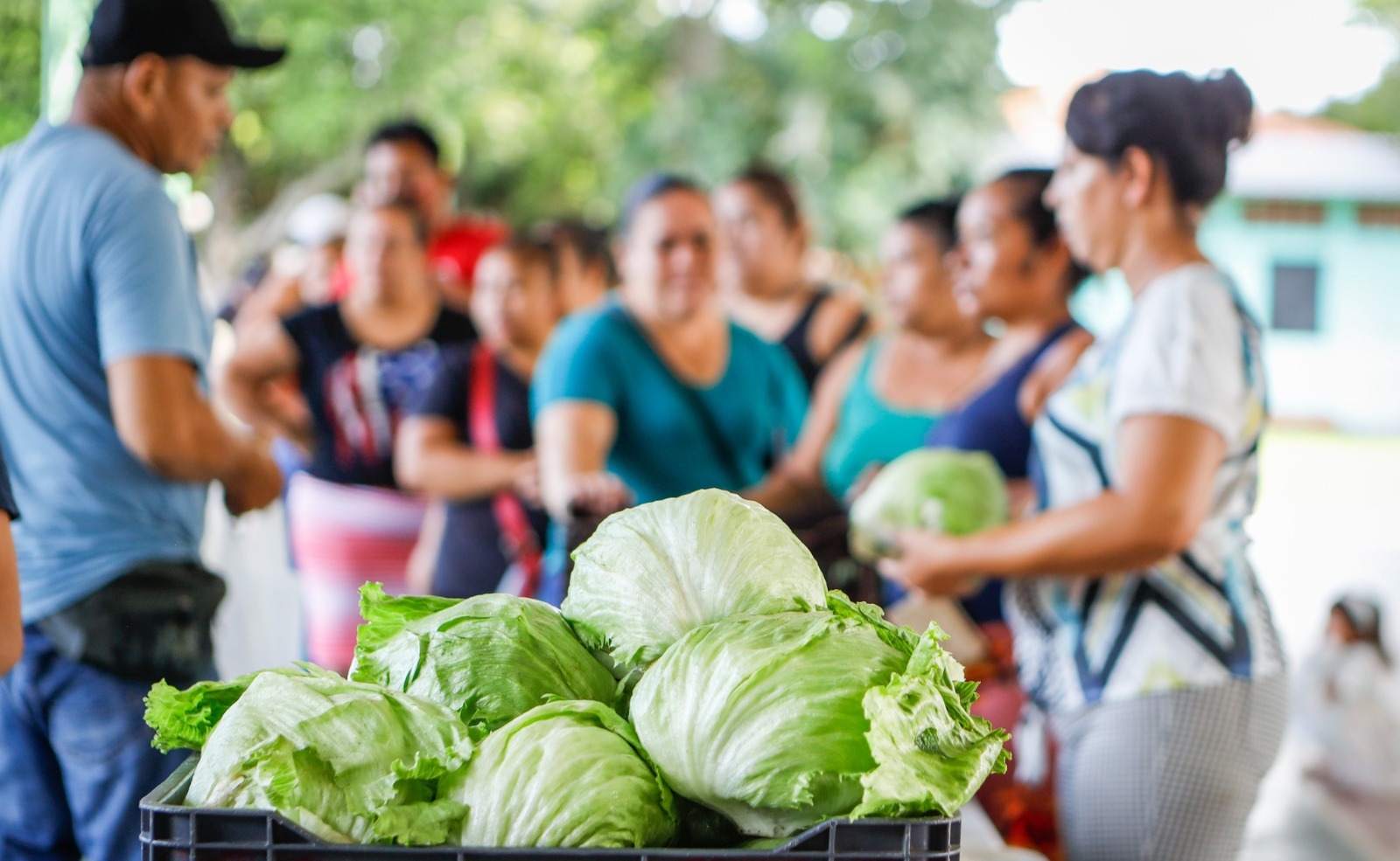 el-salvador-aprueba-ley-para-eliminar-aranceles-a-productos-de-la-canasta-basica-ampliada